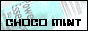 �{CHOCO MINT�{�o�i�[